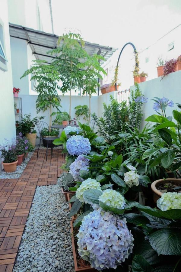 קמרון היילנדס Comfy Sofy 21- Backyard Garden- Night Market Area מראה חיצוני תמונה