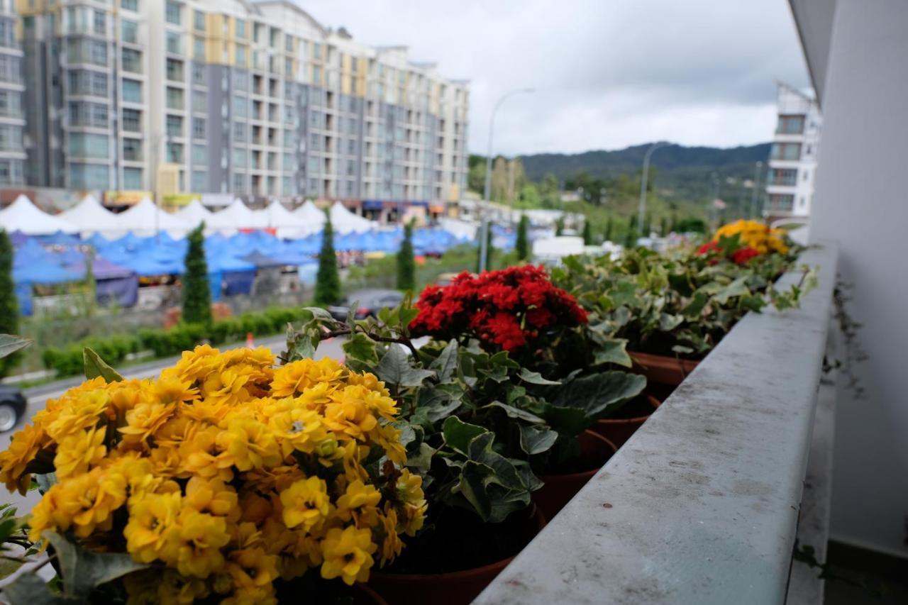 קמרון היילנדס Comfy Sofy 21- Backyard Garden- Night Market Area מראה חיצוני תמונה